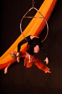 Межрегиональный фестиваль циркового искусства «Сальто в будущее»